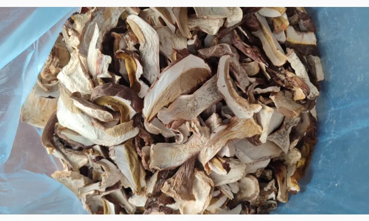Сушені білі гриби на продажу - фото № 8
