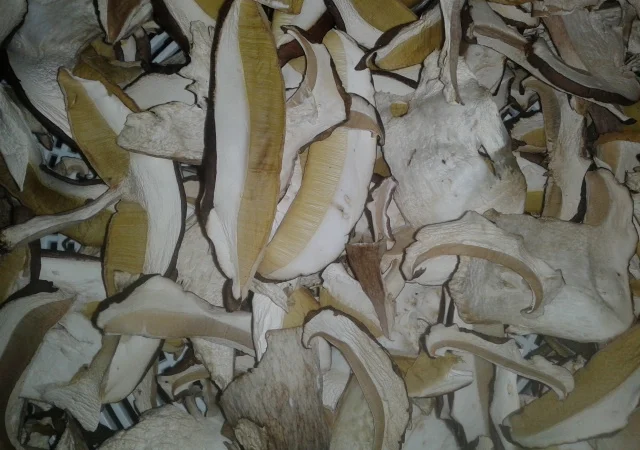 Продаж сушеного білого гриба - фото № 1