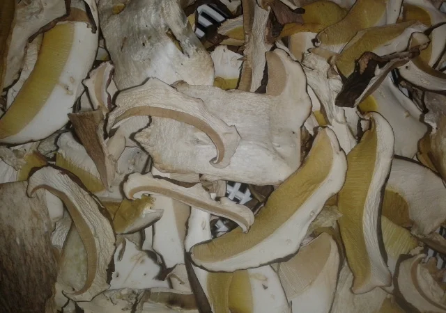 Продаж сушеного білого гриба - фото № 2