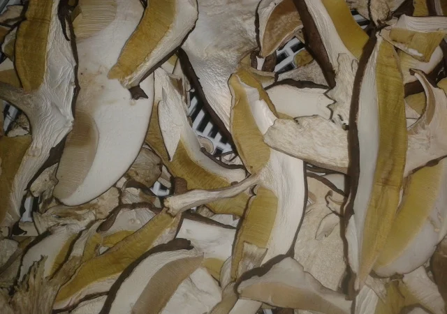 Продаж сушеного білого гриба - фото № 3