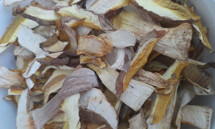 Продаж білого гриба сушеного - фото № 1