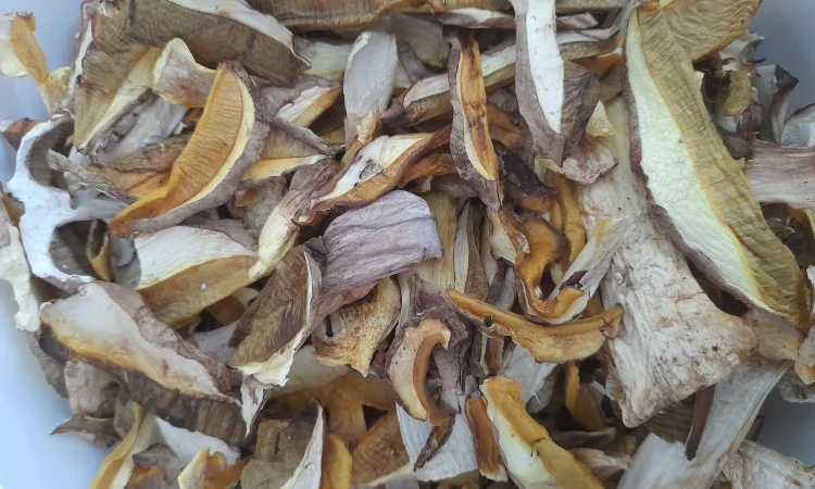 Продаж білого гриба сушеного - фото № 2