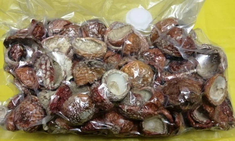 Мухомор червоний сушений відбірний - фото № 3