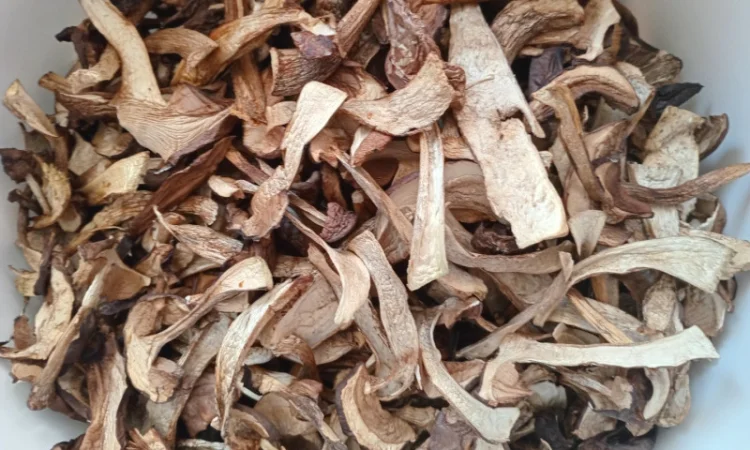 Продаю сушений підберезник - фото № 2