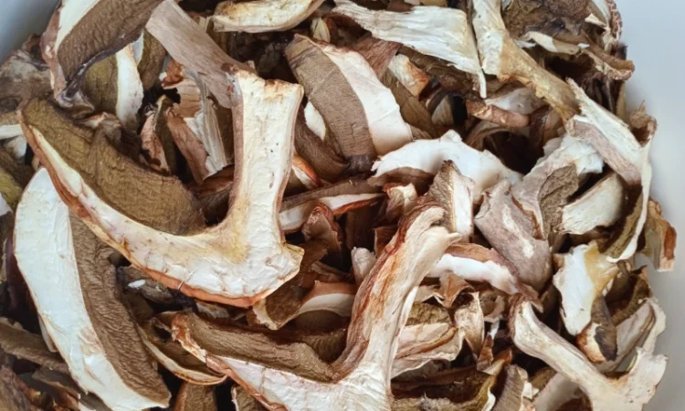 Продаю сушений білий гриб - фото № 4