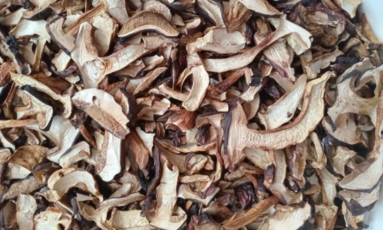 Продаю сушений польський гриб - фото № 1