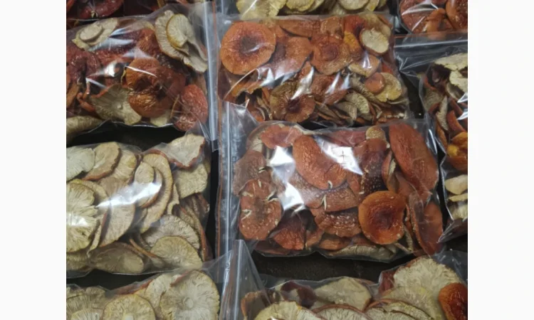 Сушений червоний мухомор на продаж - фото № 3