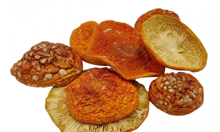 Шляпки мухомора червоного сушені - фото № 1