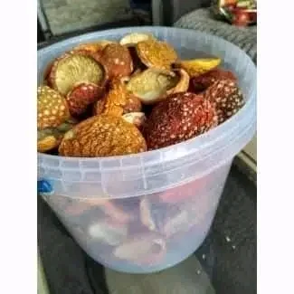 Продажа шляпок червоного мухомора - фото № 3