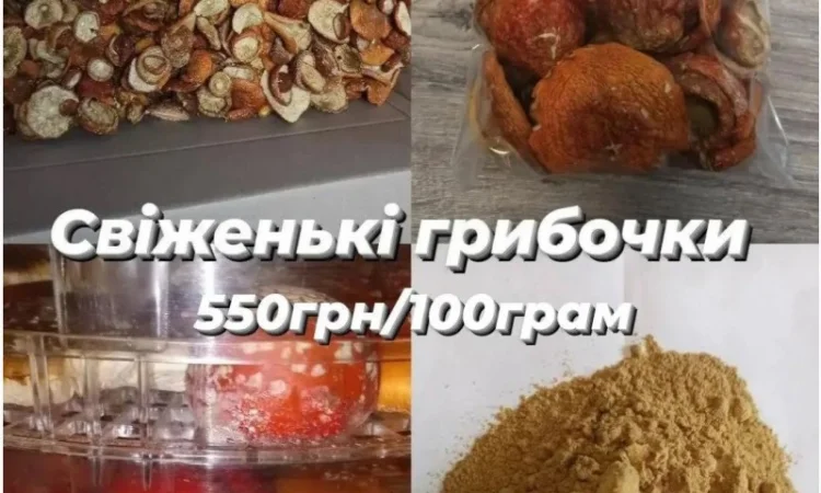 Сушені мухомори оптом - фото № 1
