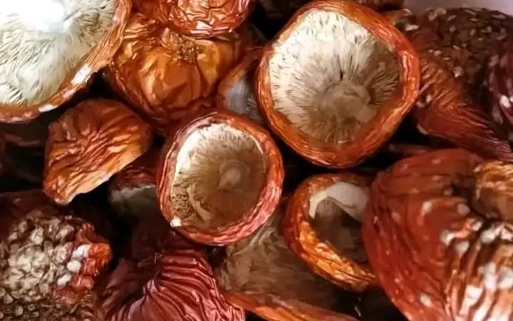 Продажа шляпок червоного мухомора - фото № 1