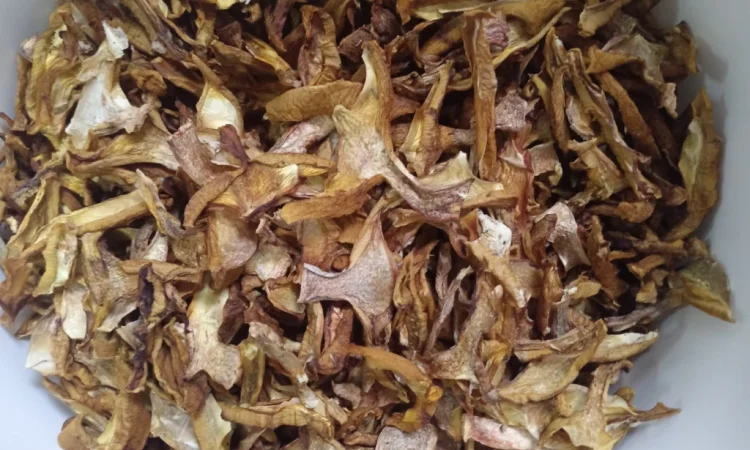 Сушені маслюки на продаж - фото № 2