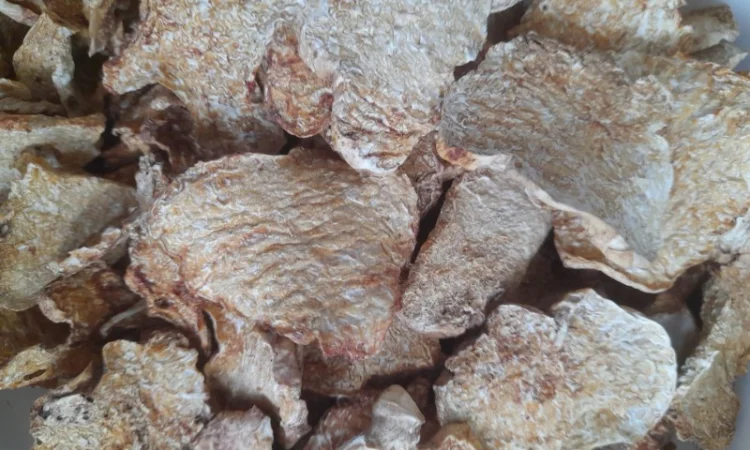 Продаж сушеного білого трюфеля - фото № 2