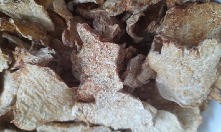 Продаж сушеного білого трюфеля - фото № 3