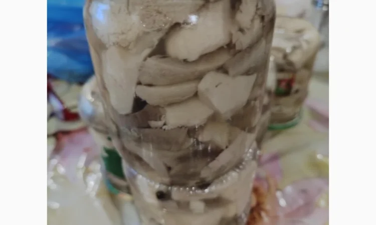 Продажа сухого трутовика лускатий - фото № 3