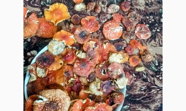 Червоний мухомор мелений 300г в наявності - фото № 3