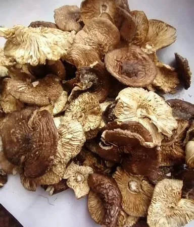 Пантерній 340 грамів на продаж - фото № 2