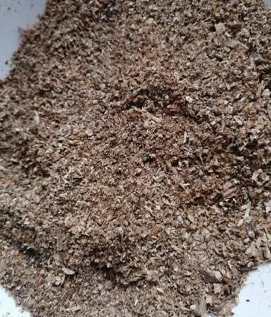 Пантерній 340 грамів на продаж - фото № 3