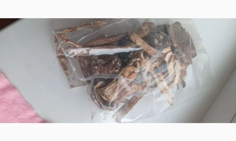 Мухомор пантерний 30 грамів - фото № 1