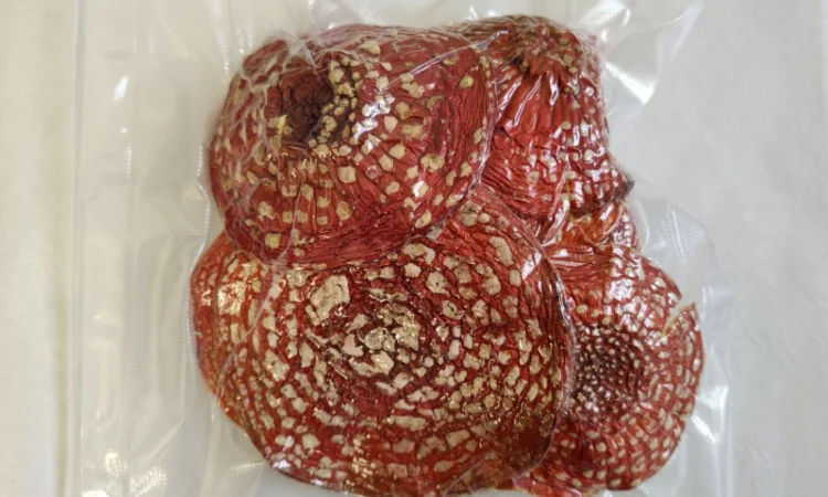 Капелюшки Червоного Мухомора 50 грамів на продаж - фото № 1