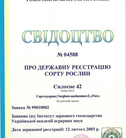 Продажа цукрового сорго Силосне 42 - фото № 2