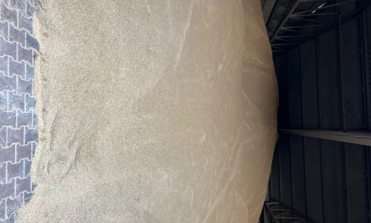 Куплю жито з доставкою - фото № 2