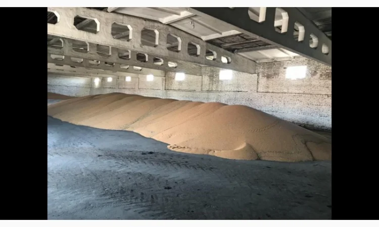 Покупка проса жовтого та червоного в Тернопіль - фото № 1