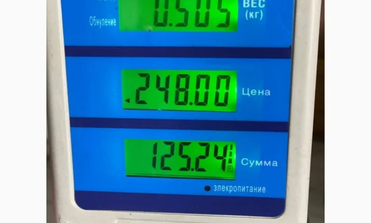 Овес свіжого врожаю на продаж - фото № 3
