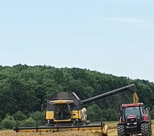 Продам насіння ярого ячменю ГУЛЛІВЕР - фото № 1