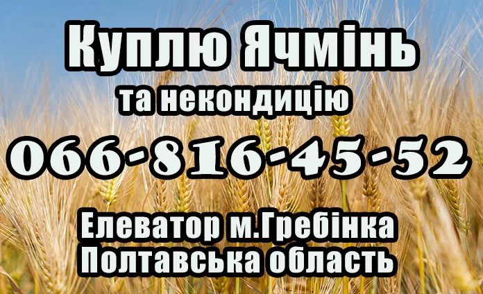 Закупка Ячменю за високими цінами - фото № 1