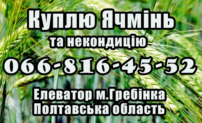 Закупівля ячменю за високими цінами - фото № 1