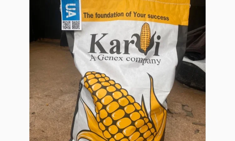 Продаж насіння Кукурудзи Karvi Фао 270/320 - фото № 1