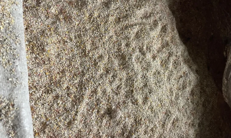 Отходы кукурузы после сушки - фото № 2