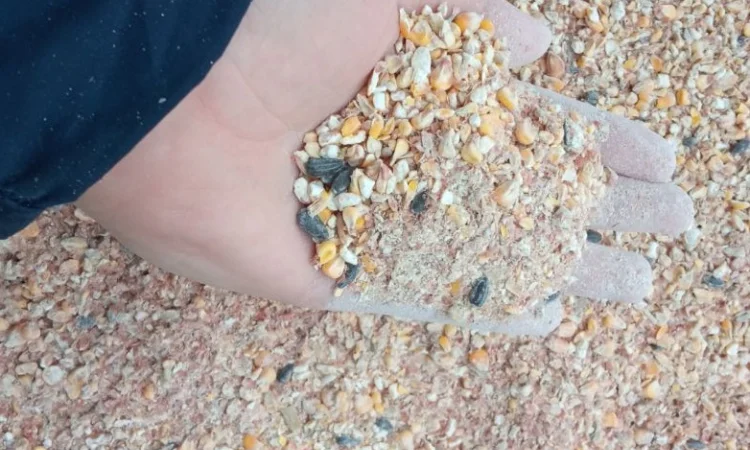 Закупаем зерновідходи и некондицию - фото № 1