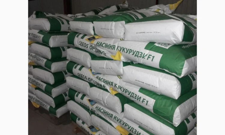 Продажа гибрида кукурузы ДН Корунд (ФАО 250) - фото № 1