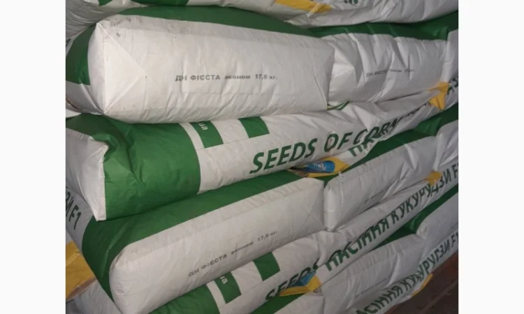 Семена кукурузы ДН Фієста (ФАО 260) от производителя - фото № 2