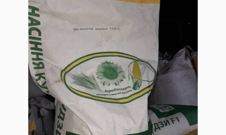 Семена кукурузы ДН Фієста (ФАО 260) от производителя - фото № 3