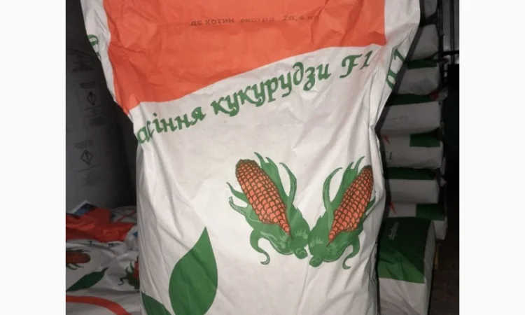 Продаж кукурузи ДБ Хотин 2025 - фото № 1