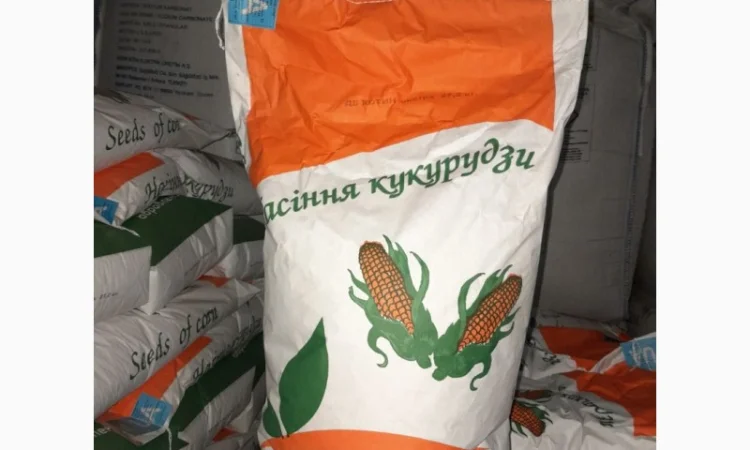 Продаж кукурузи ДБ Хотин 2025 - фото № 2