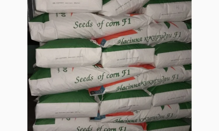 Продаж кукурузи ДБ Хотин 2025 - фото № 3