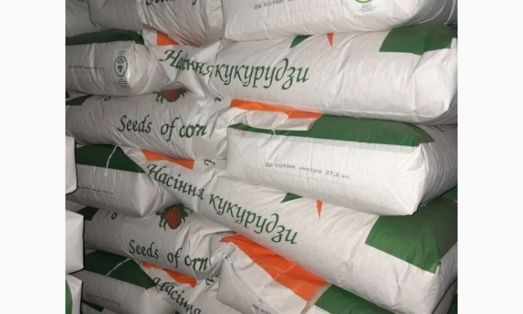 Продаж кукурузи ДБ Хотин 2025 - фото № 4