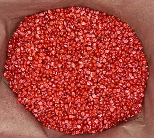 Кукурудза ДН Пивиха (ФАО 180) від виробника - фото № 3