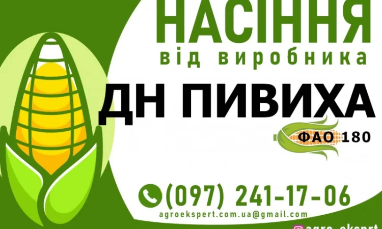 Гібрид кукурудзи ДН Пивиха (ФАО 180) від виробника - фото № 1