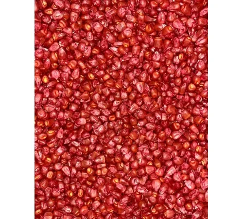 Семена кукурузы ДН Фієста (ФАО 260) от производителя - фото № 3