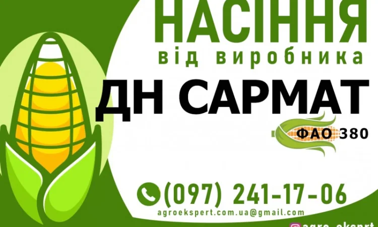 Кукурудза ДН Сармат (ФАО 380) від виробника - фото № 1