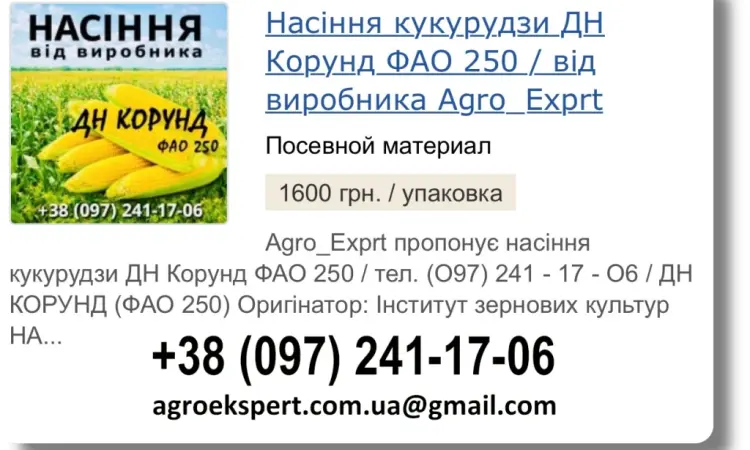 Продаж насіння кукурудзи ДН Корунд на 2026 рік від виробника - фото № 1
