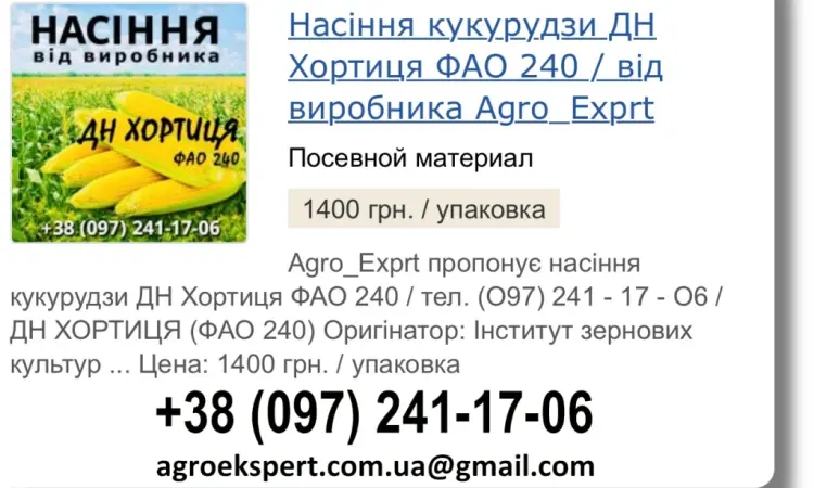 Пропонується насіння кукурудзи ДН Хортиця на 2026 рік від виробника - фото № 1