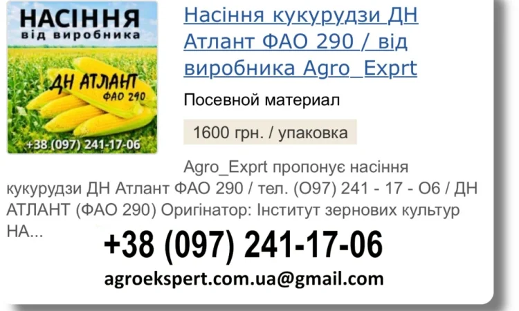 Продажа Насіння Кукурудзи ДН Атлант на 2026 - фото № 1