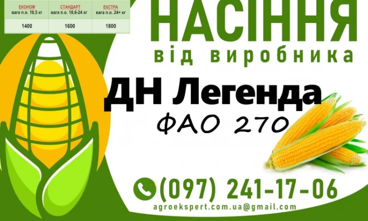 Куплю насіння кукурудзи від виробника N1 - фото № 6