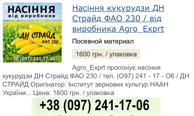 Гібрид кукурудзи ДН Страйд (ФАО 230) на продажу - фото № 1